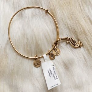 Alex and Ani Swan EWB (+) Energy Bangle